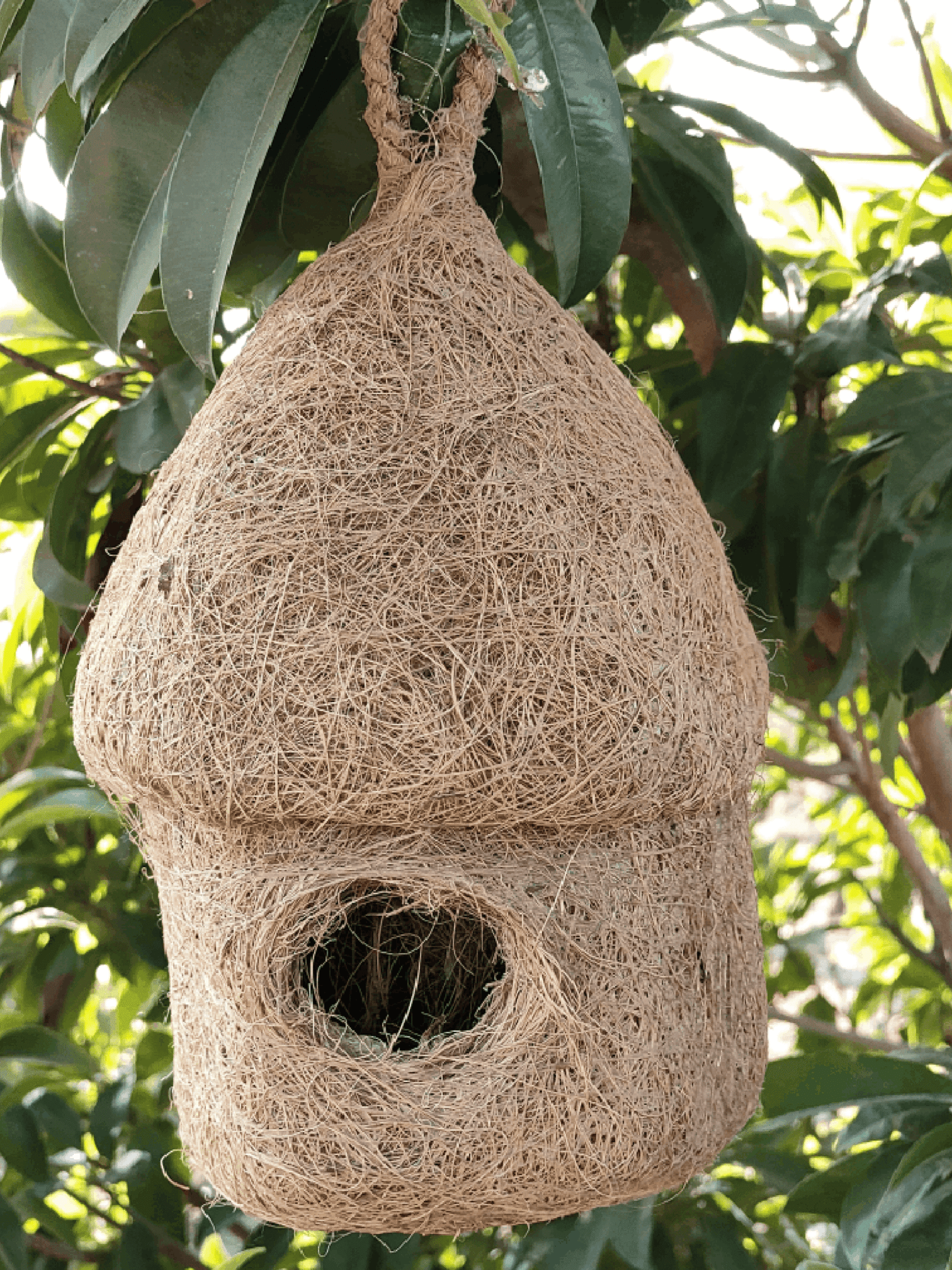 Handmade Hut-Shaped Hanging Birdhouse – Eco-Friendly Nest for Birds