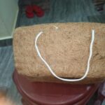 Handmade Rectangular Shape with Double-Entry Coconut Coir Birdhouse photo review