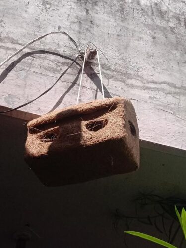 Handmade Rectangular Shape with Double-Entry Coconut Coir Birdhouse photo review